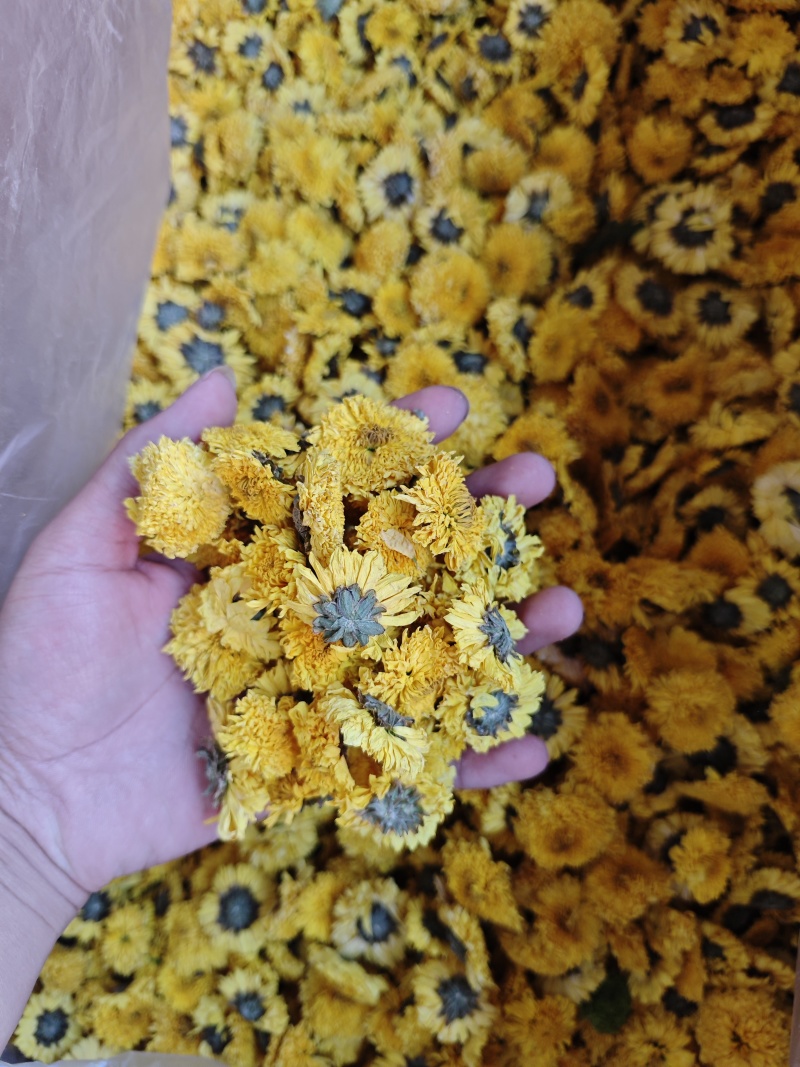 菊花胎菊野菊花金丝贡菊各类花茶食用茶种类齐全