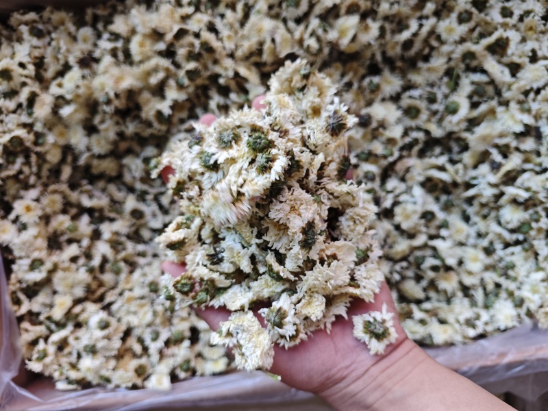 菊花胎菊野菊花金丝贡菊各类花茶食用茶种类齐全