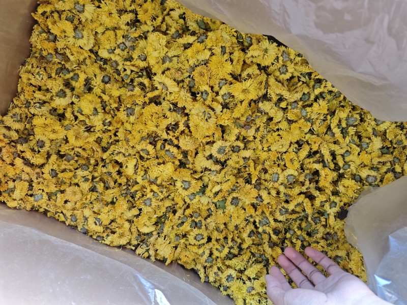 菊花胎菊野菊花金丝贡菊各类花茶食用茶种类齐全