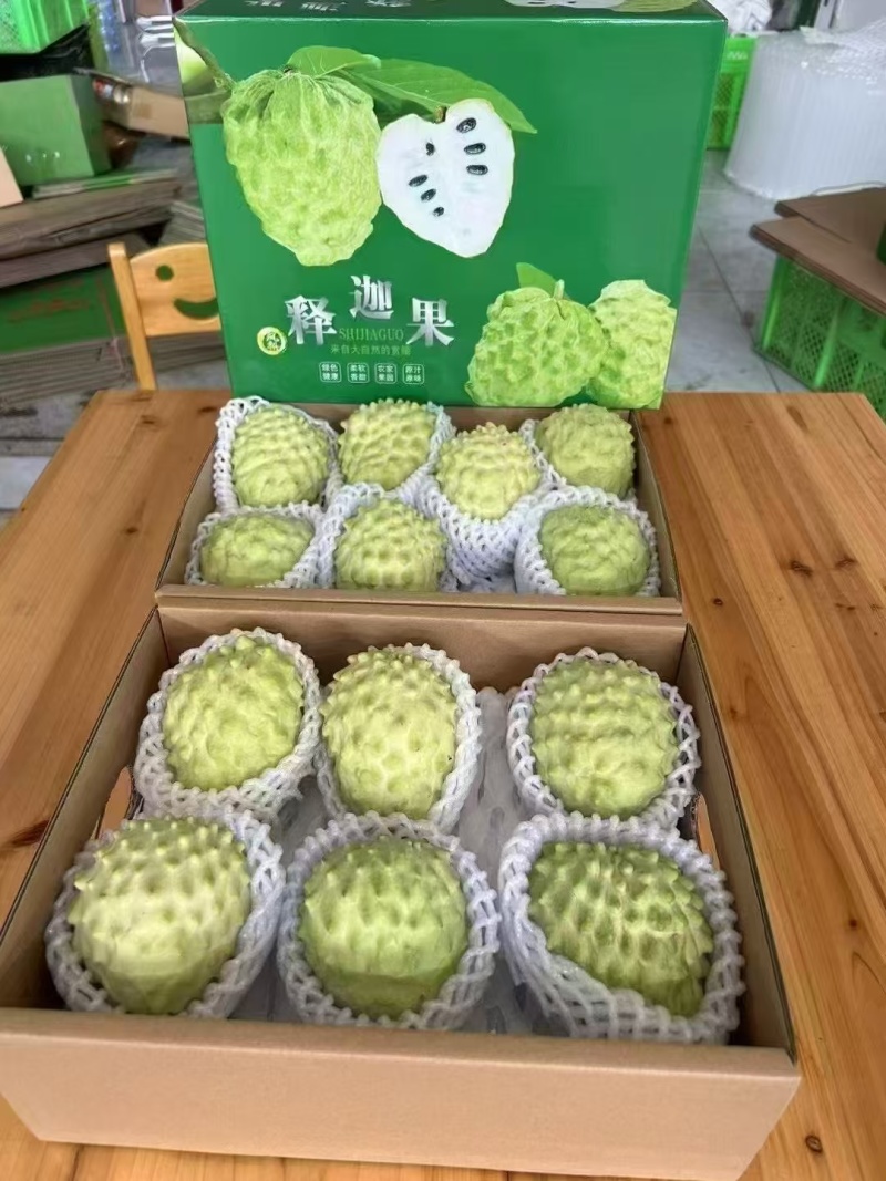 精品释迦