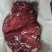 内蒙精品羊肉，货源充足，内蒙产地直发，诚信经营，欢迎来电