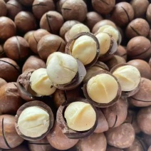 夏威夷果（全国可发）小果中果大果特大全型号奶香味