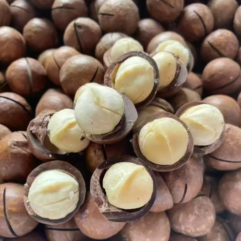 夏威夷果（全国可发）小果中果大果特大全型号奶香味