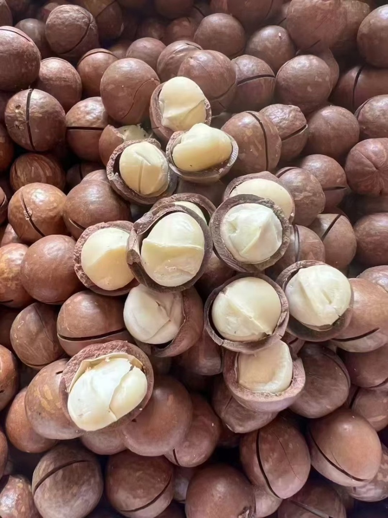 夏威夷果（全国可发）小果中果大果特大全型号奶香味