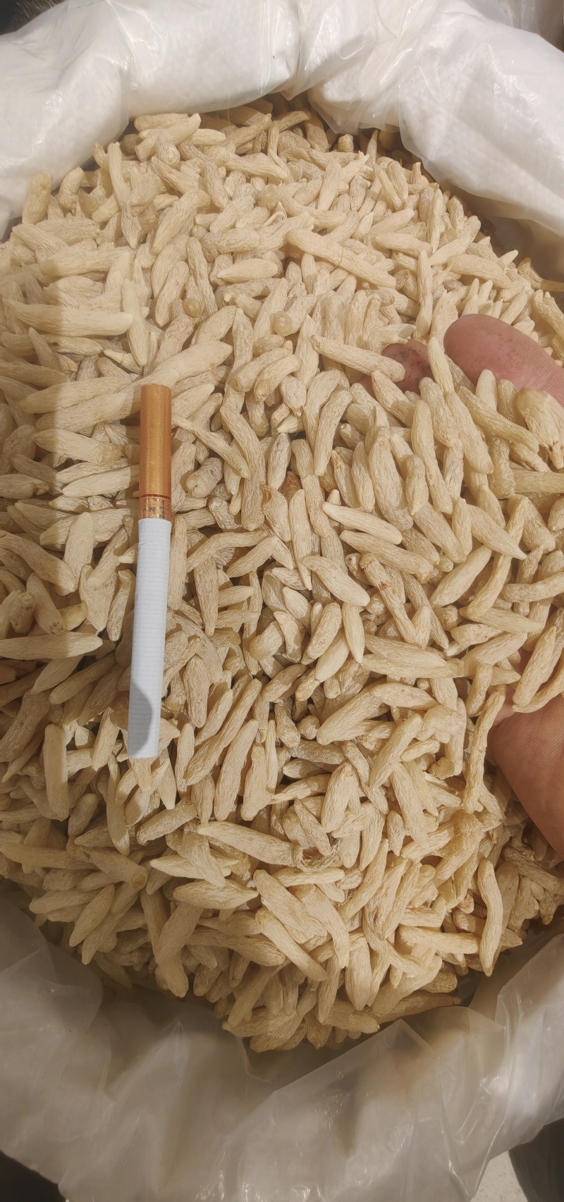 正宗川麦冬，产地直发，各种规格，诚信经营