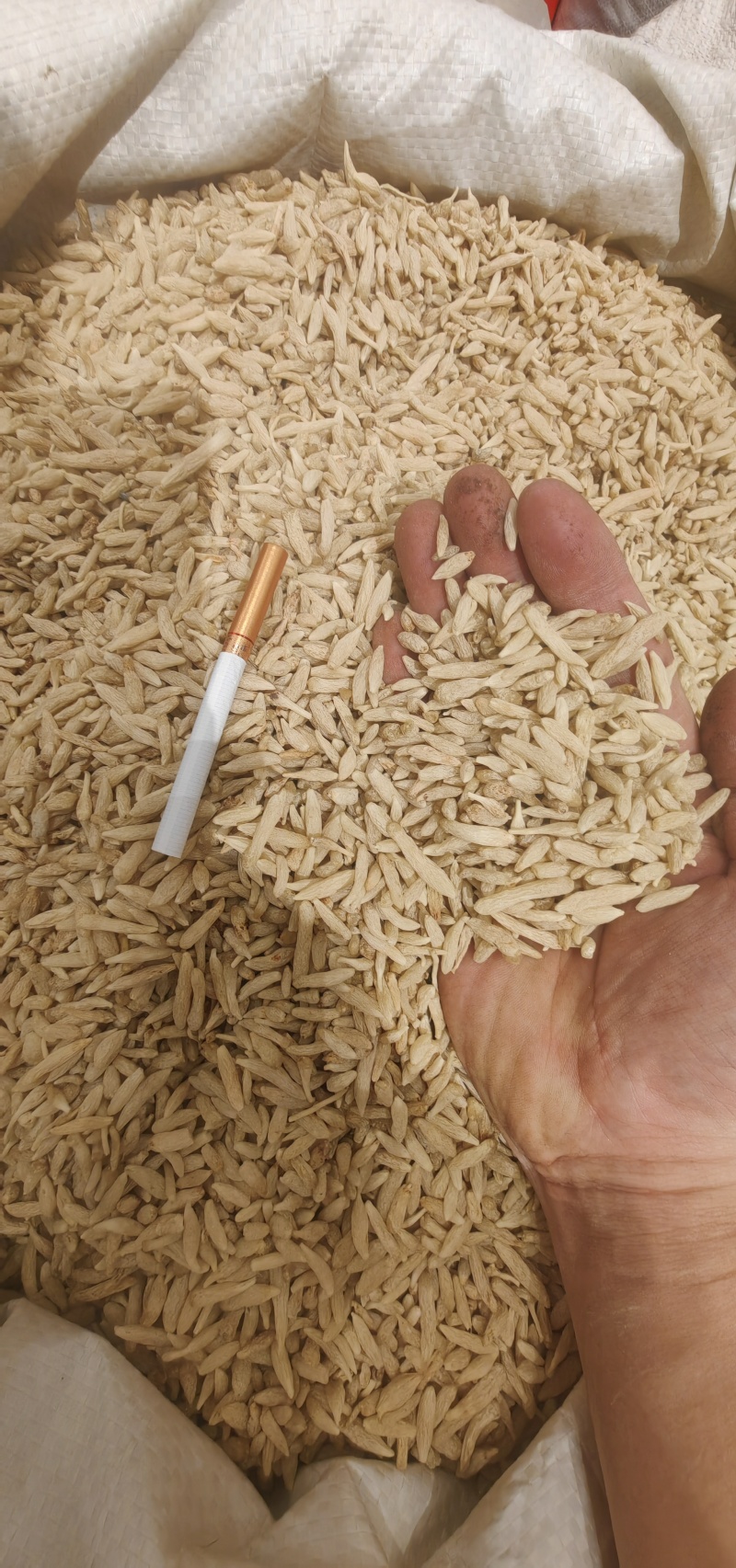 正宗川麦冬，产地直发，各种规格，诚信经营