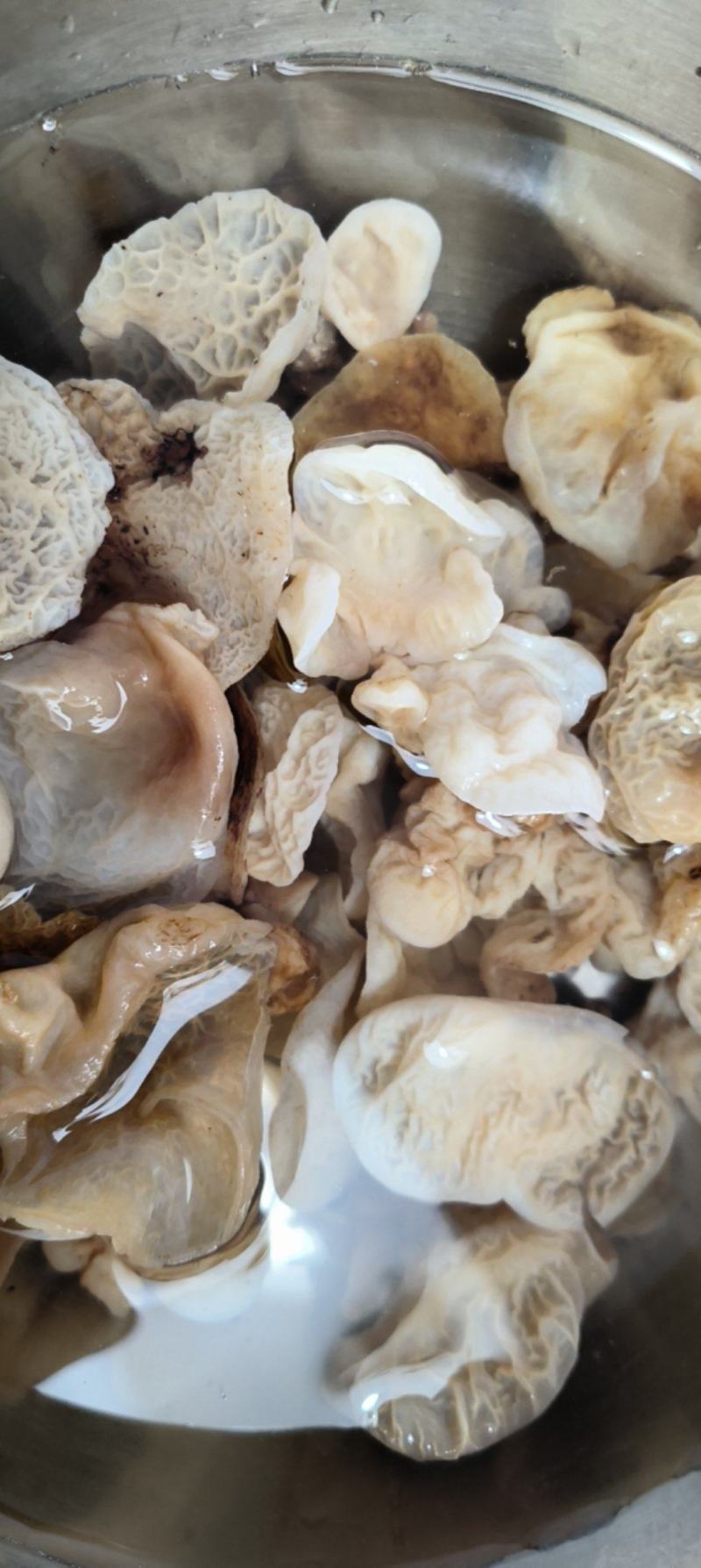 羊肚耳干货肉厚非野生农家菌东北特产泡发率高包邮