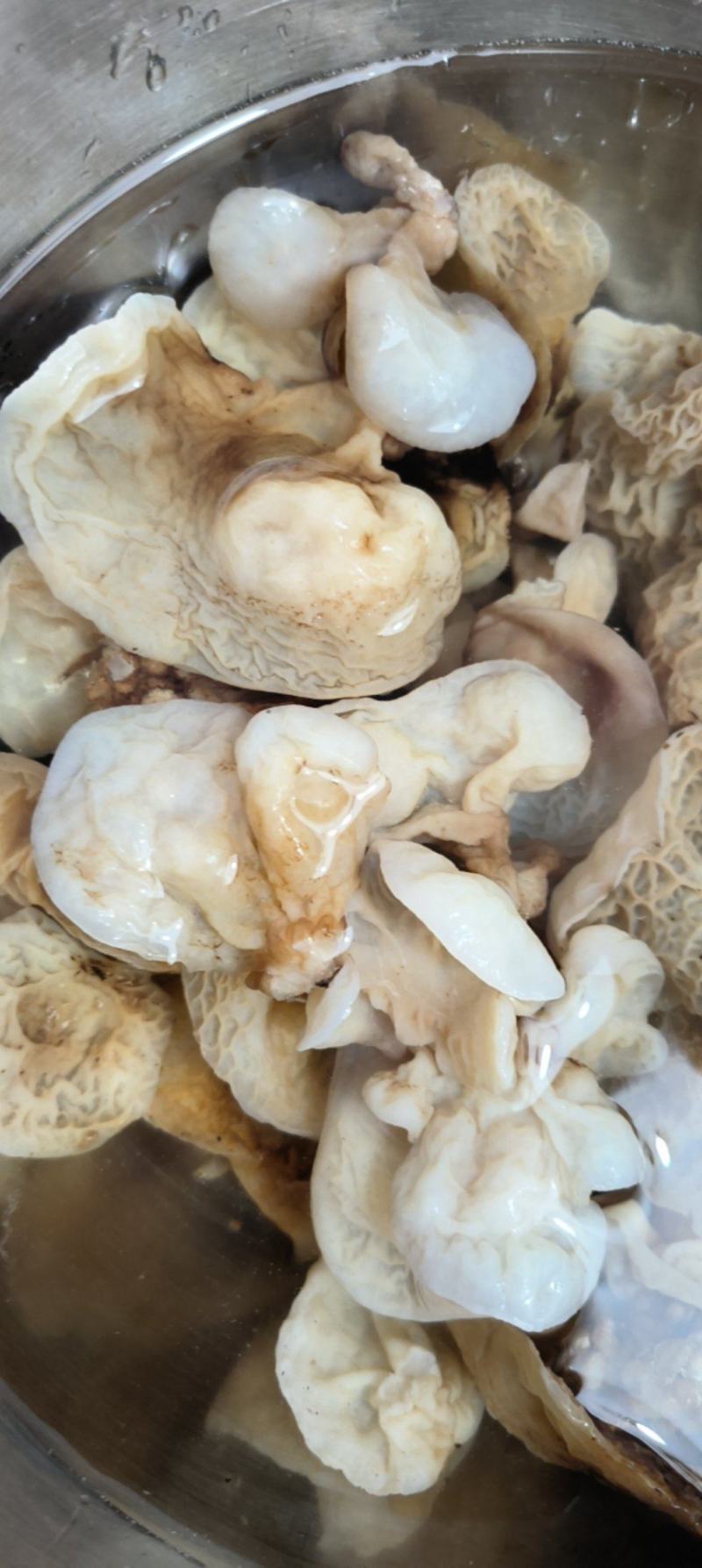 羊肚耳干货肉厚非野生农家菌东北特产泡发率高包邮