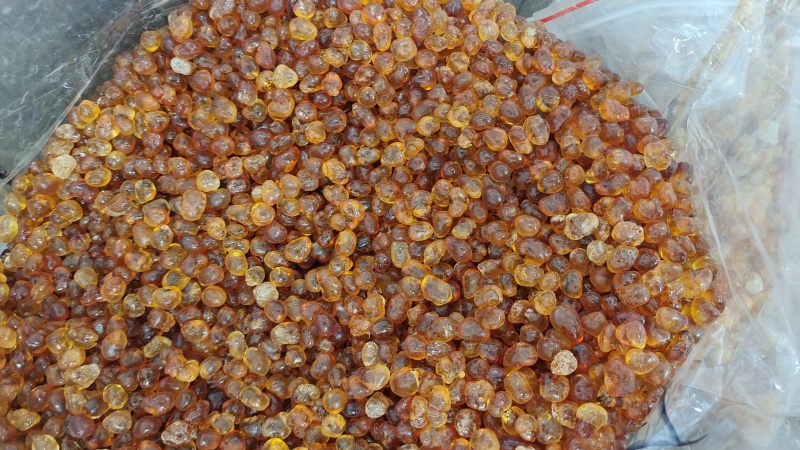 珍珠桃胶散装打磨干净干货美容养颜量大从优