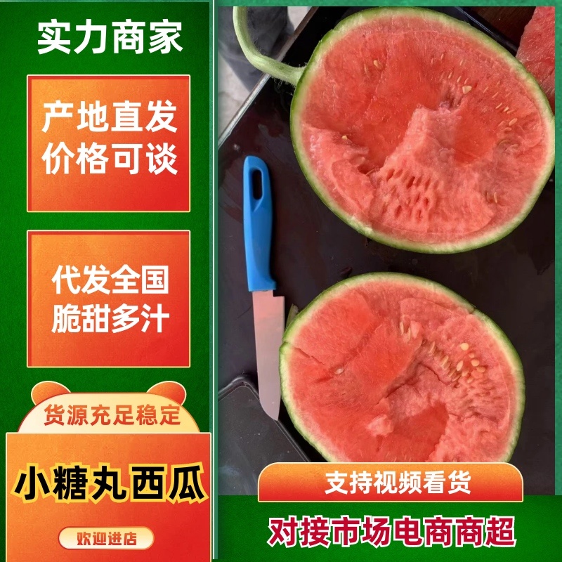 2K小糖丸，早春红玉产地直供一手货源，保质保量代发全国