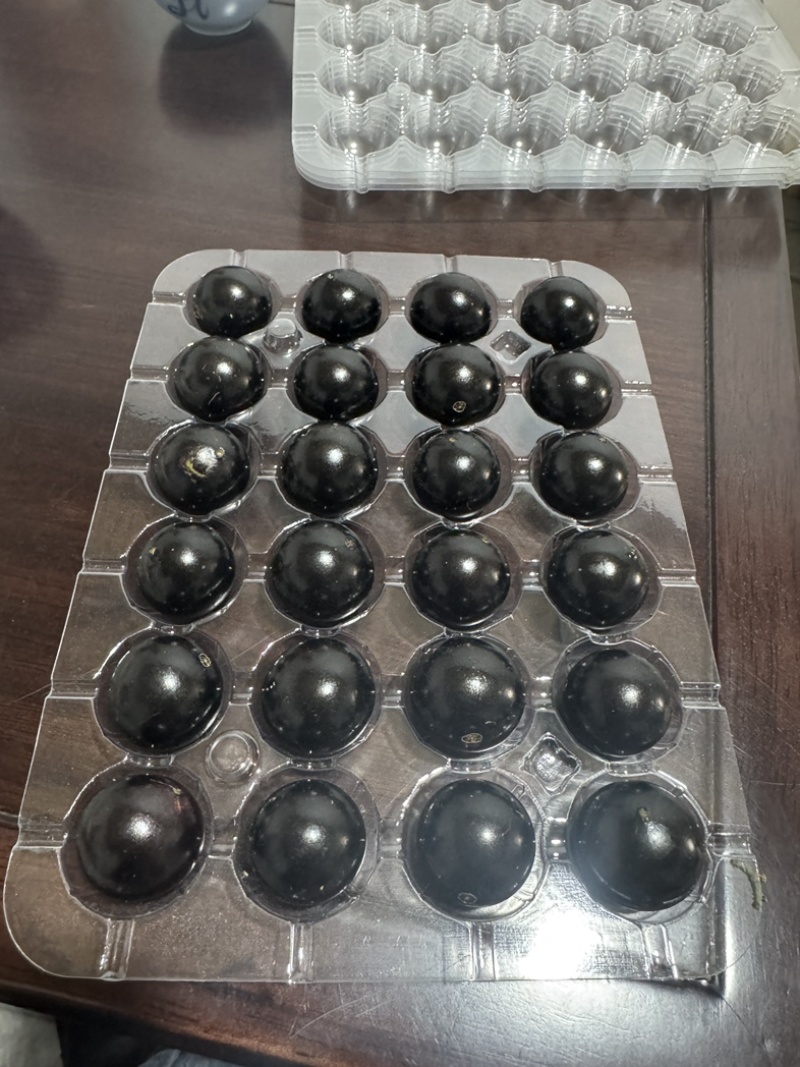 云南嘉宝果