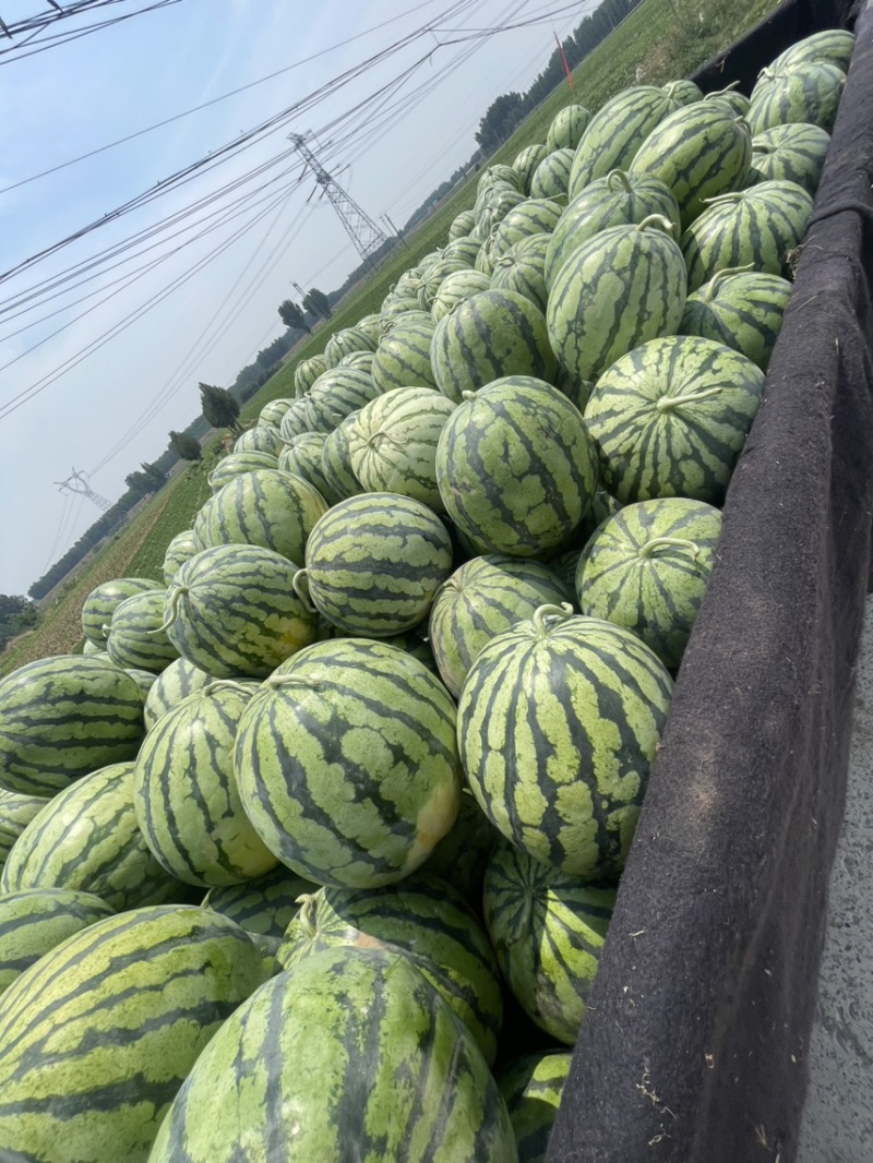 西瓜