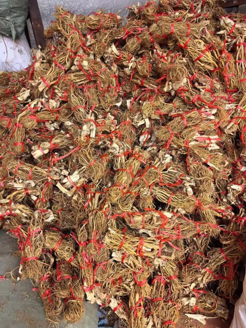 五指毛桃/五指毛桃干货/批发五指毛桃/大量从优