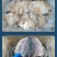 墨鱼干货批发新晒干乌贼干煲汤大干海产品厂家批发墨鱼