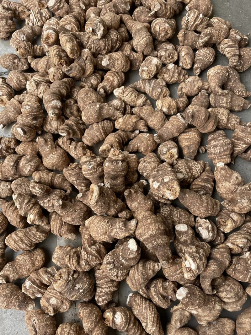 云南滇重楼，药效保证，可过检