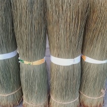 灯芯草整根带芯灯芯草（干货）可药用可编织