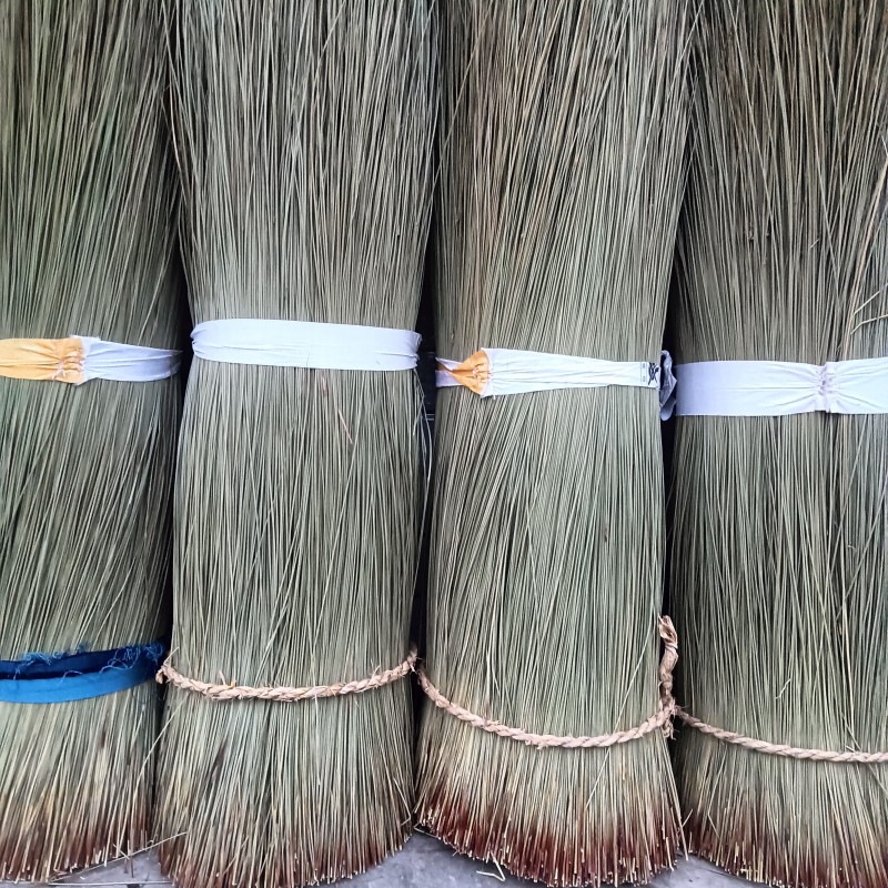 灯芯草整根带芯灯芯草（干货）可药用可编织
