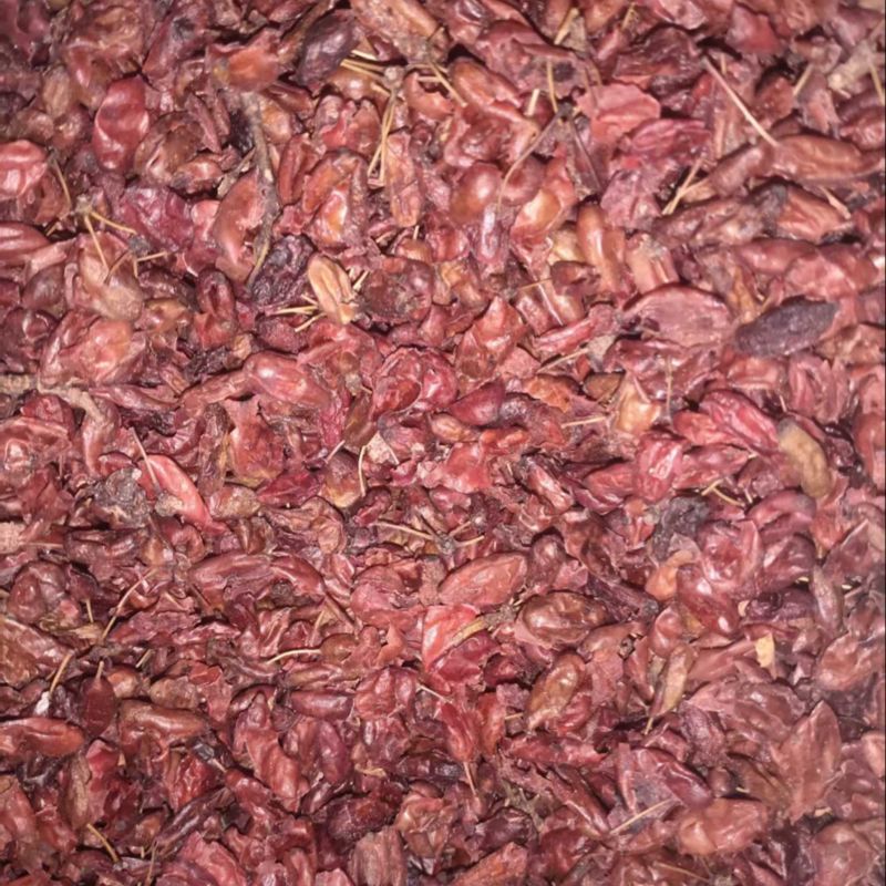 精品山茱萸常年供应货源充足价格美丽可视频看货真材实料