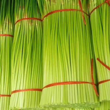 【精品】蒜薹红帽蒜薹产地直销量大质优价格优惠一手货源