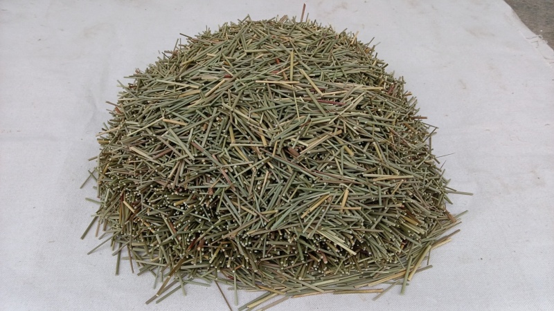 灯芯草切片干货江西灯芯草基地直供