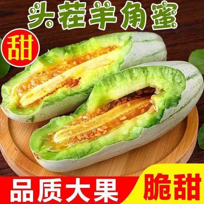 【实力商家】博洋61甜瓜，河南甜瓜，大量上市，保质保量