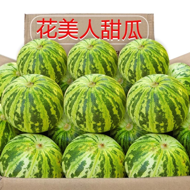 河南精品花蕾甜瓜，脆甜多汁，可对接市场商超