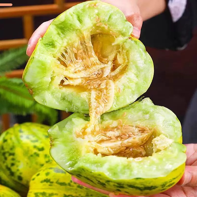 河南精品花蕾甜瓜，脆甜多汁，可对接市场商超