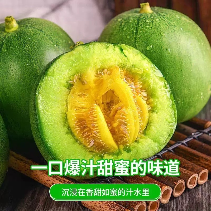 【精品】河南绿宝甜瓜，脆甜，大量上市现摘现发，可对接全国