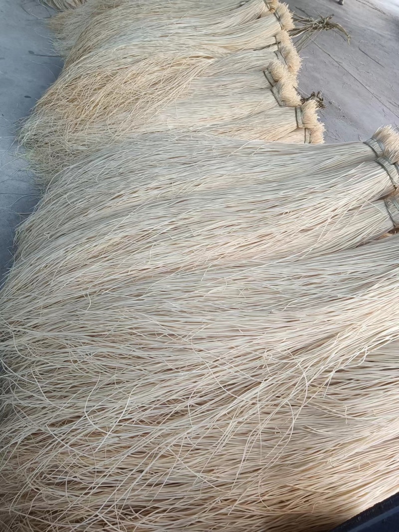 灯芯草长灯草新鲜无硫无杂烘干发货江西灯心草