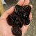 东北黑木耳批发价格优势，品质保证
