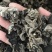 东北黑木耳批发价格优势，品质保证