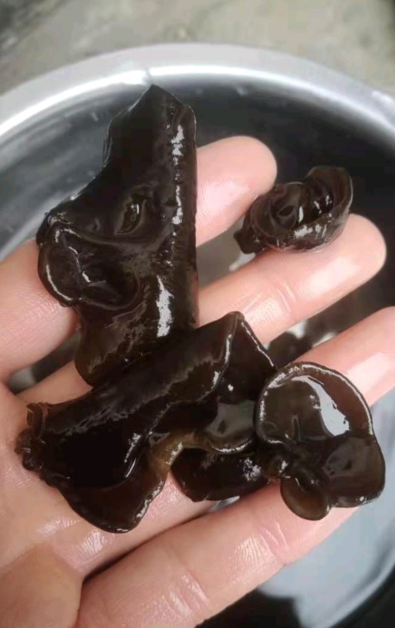 东北黑木耳批发价格优势，品质保证