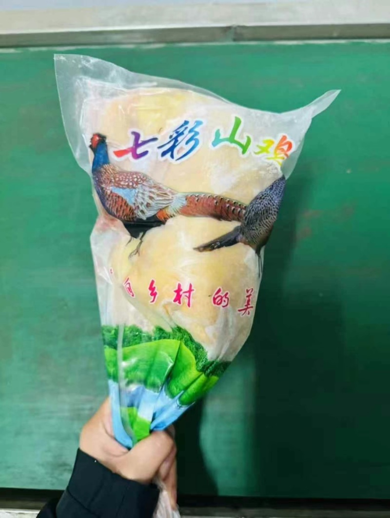 七彩山鸡1.4-2.5斤每只