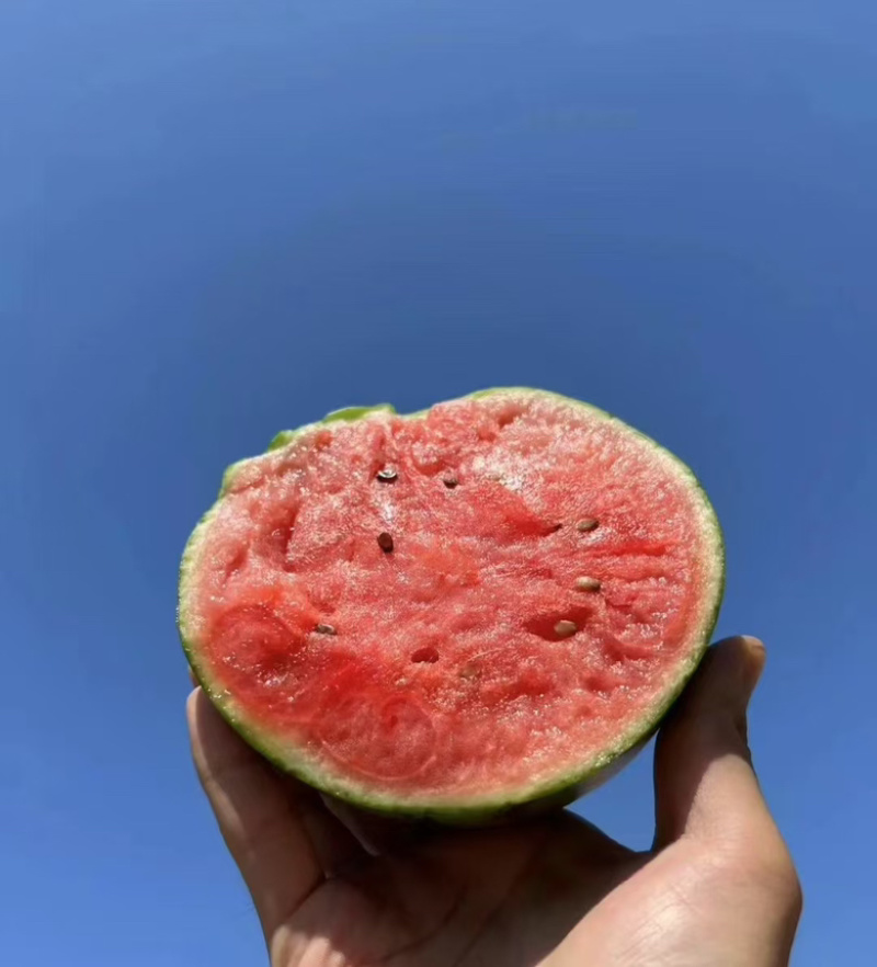 小糖丸西瓜，精品西瓜，量大货优，供应电商，商超各个平台