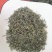 绿茶毛尖，品种多规格齐全，物优价美，欢迎品鉴