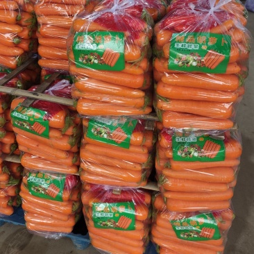 精品胡萝卜基地直发按需分级