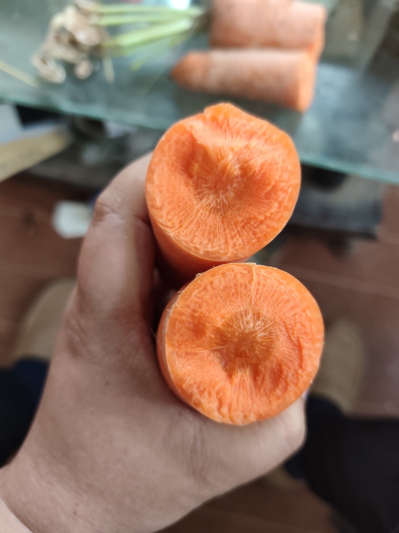 精品胡萝卜基地直发按需分级