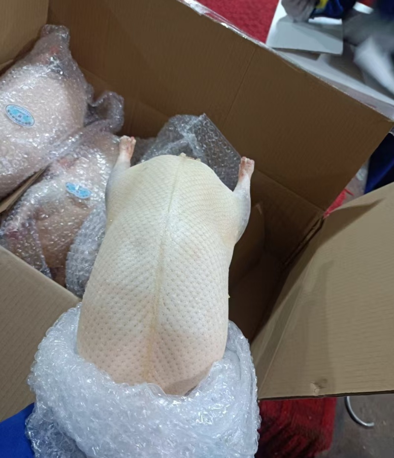 冻鸭胚一手货源价格美丽欢迎联系大量有货