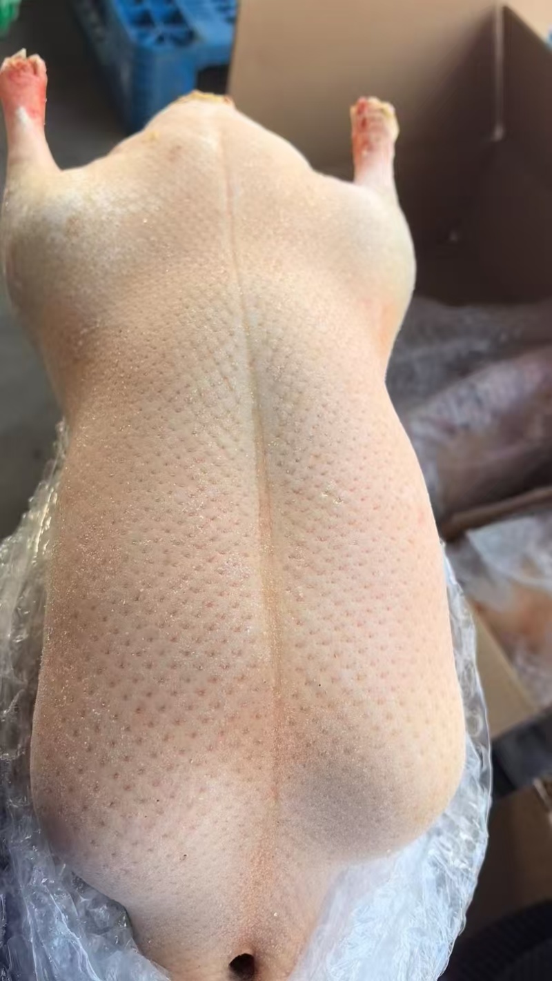 冻鸭胚一手货源价格美丽欢迎联系大量有货