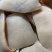 牛皮