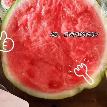 宁夏精品美都西瓜产地直发现摘现发万亩基地一手货源