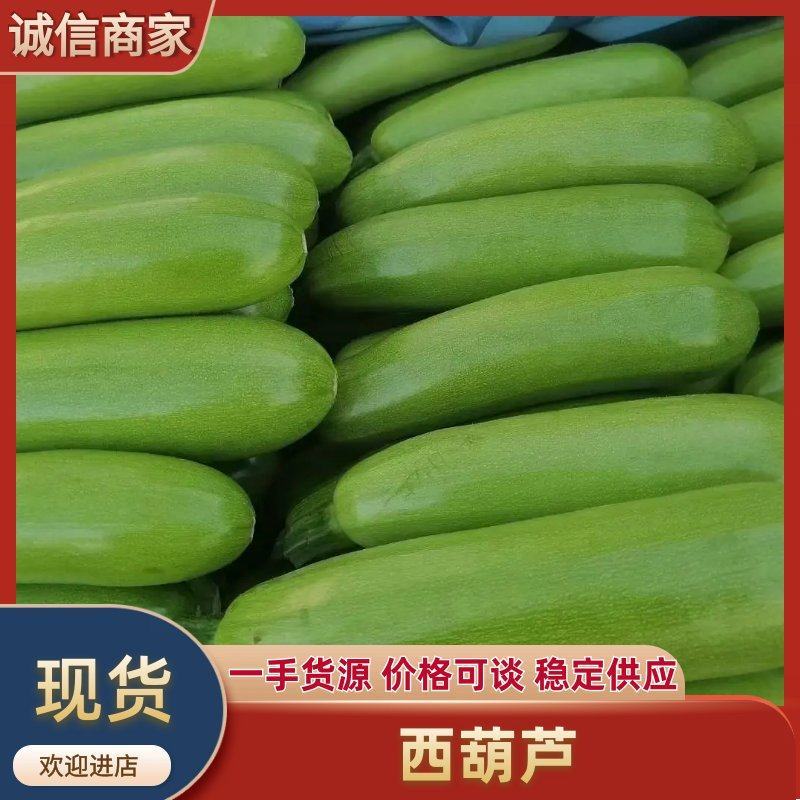 山东聊油绿西葫芦大量上市.诚信代收.质量保证.代发全国