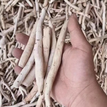 白芍无硫1-4级个子尾芍各种规格片子狗头片