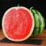 山西台农美都西瓜量大质优个个过手不熟包退欢迎来电