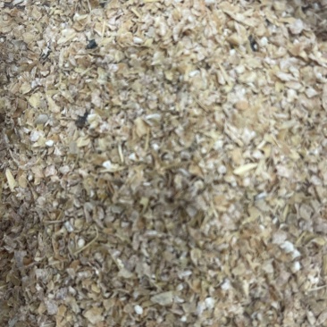 饲用小麦粉直采直销***********