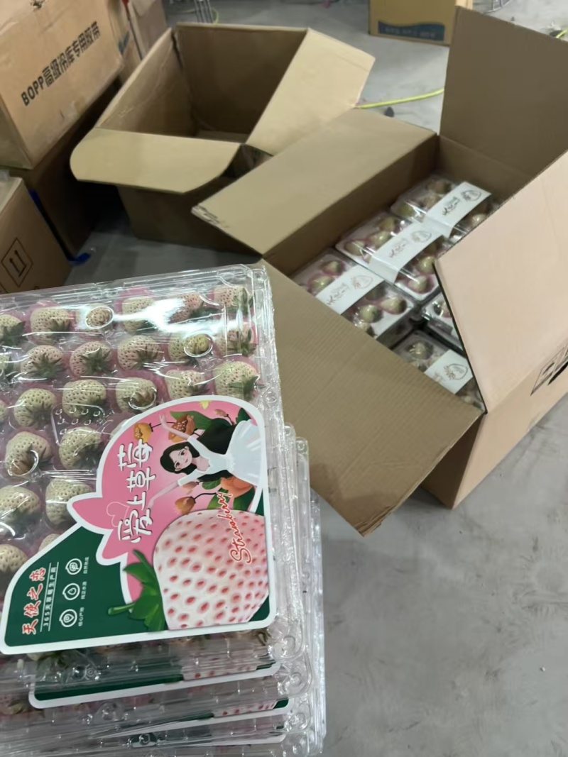 白草莓批发