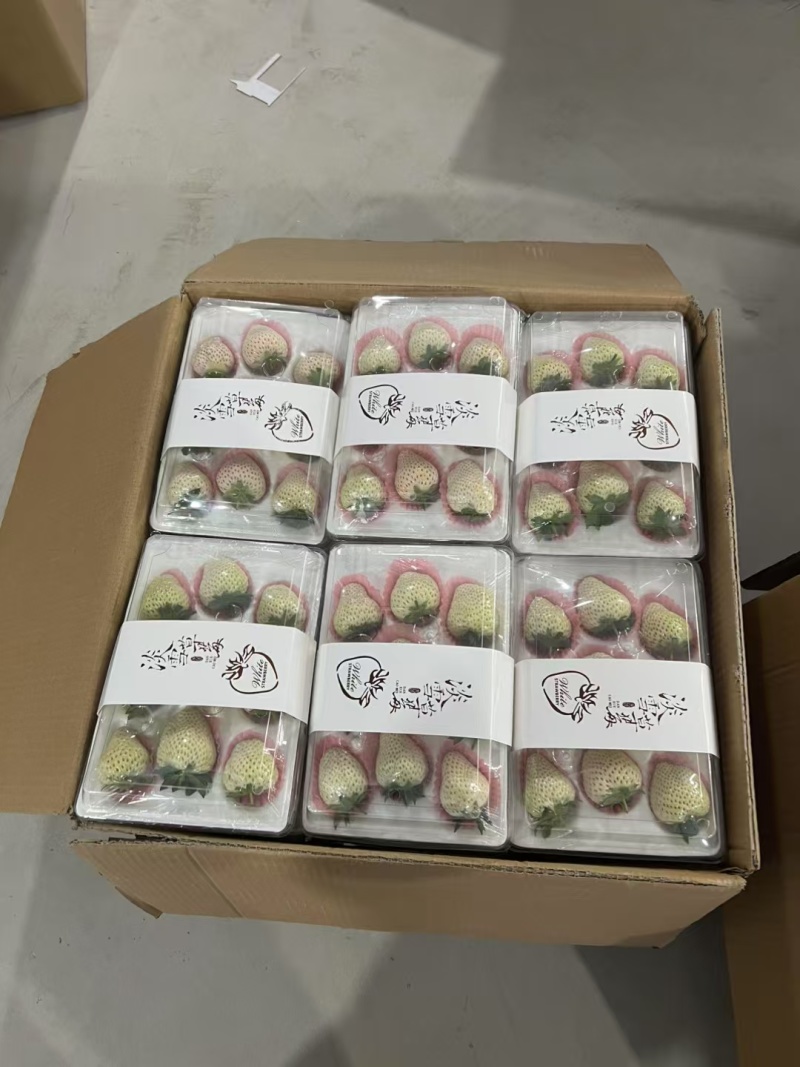 白草莓批发