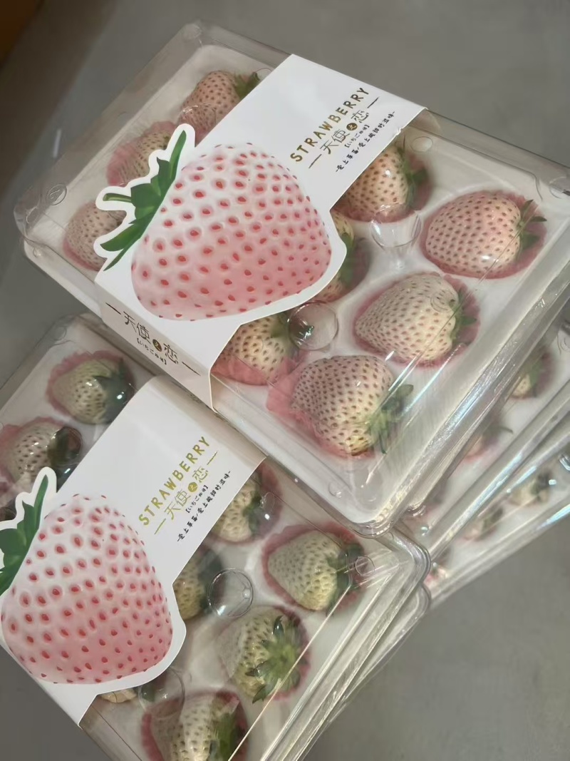 白草莓批发