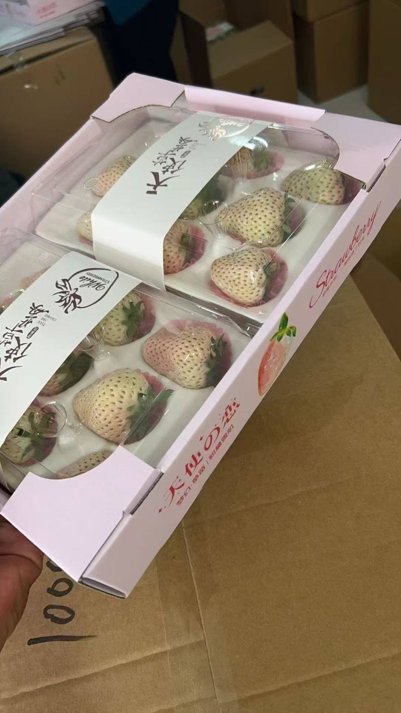 白草莓批发