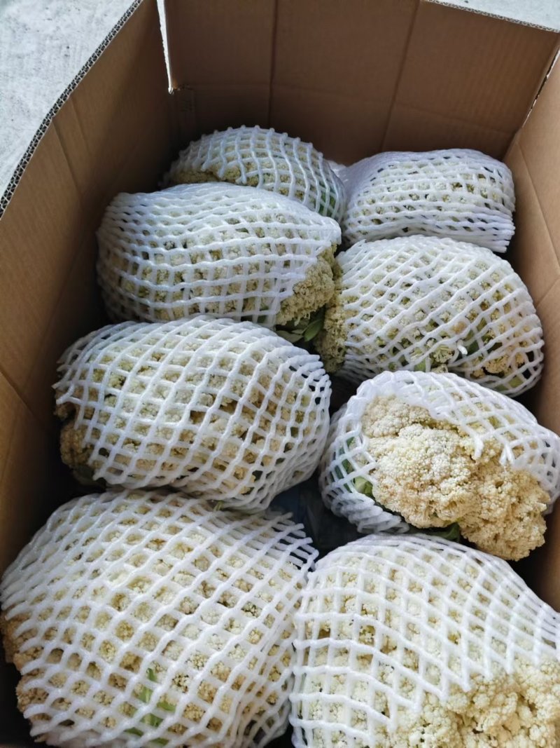 青梗小米花，产地一手货源，冻库储存量2000吨